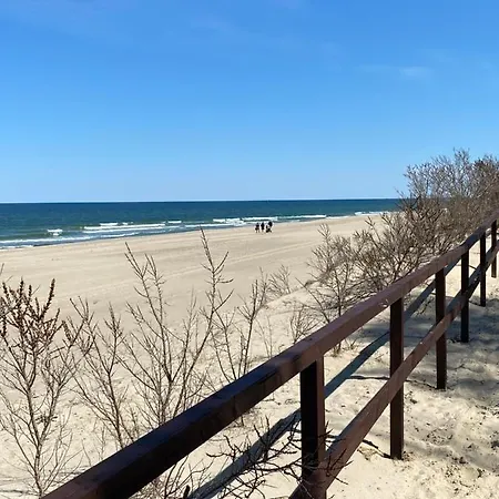 Sloneczny Nowy